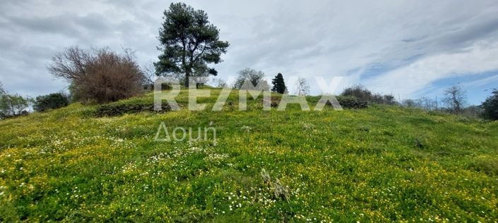 Image No.5-Terre à vendre à Glossa