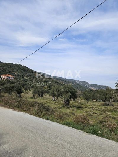 Image No.1-Propriété à vendre à Skiathos