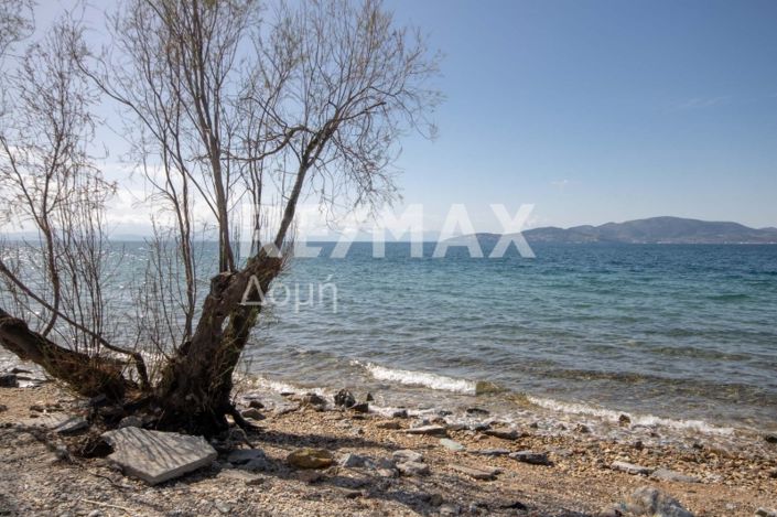 Image No.42-Maison de 2 chambres à vendre à Center