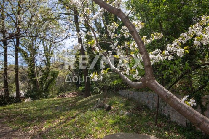 Image No.36-Propriété de 4 chambres à vendre à Magnésie