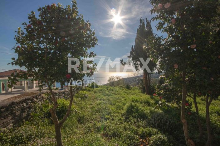 Image No.12-Propriété à vendre à Center