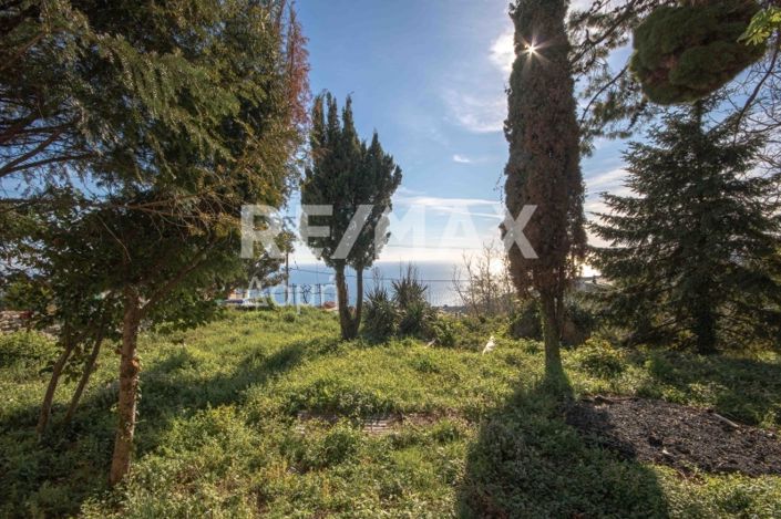 Image No.13-Propriété à vendre à Center