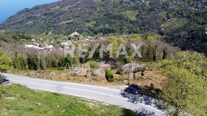 Image No.2-Property for sale