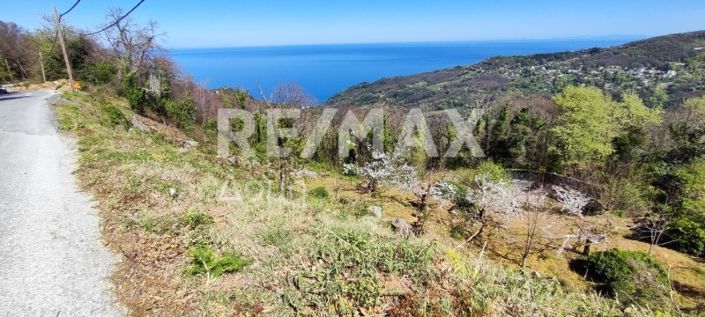 Image No.4-Property for sale