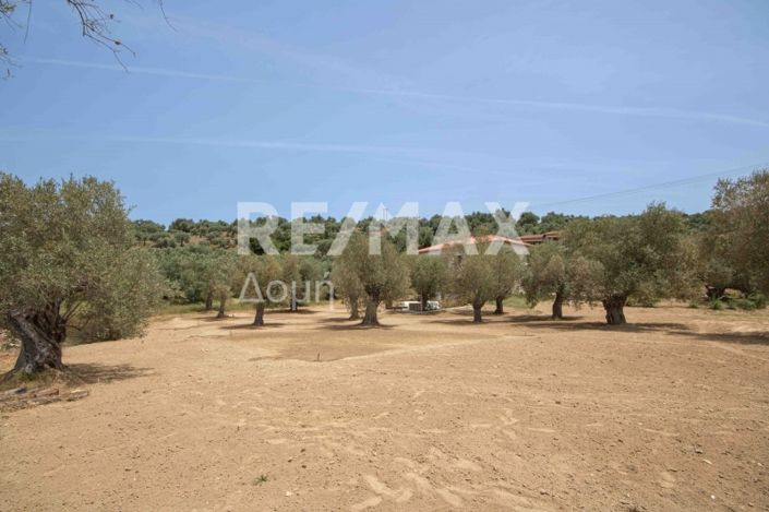 Image No.31-Land for sale