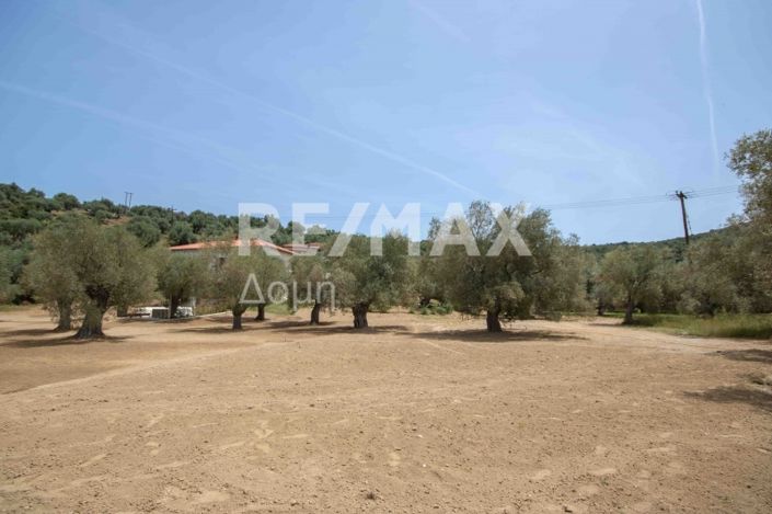 Image No.33-Land for sale