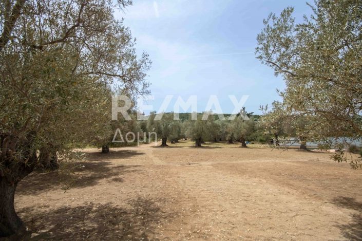 Image No.36-Land for sale