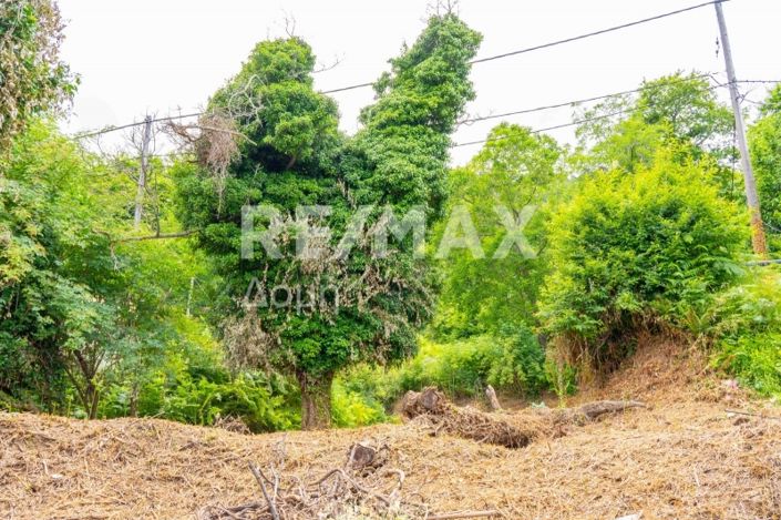 Image No.13-Propriété à vendre à Magnésie