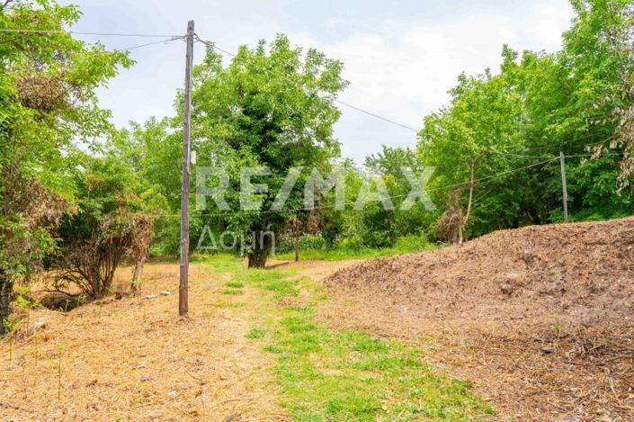 Image No.16-Propriété à vendre à Magnésie