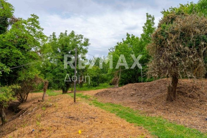 Image No.9-Propriété à vendre à Magnésie