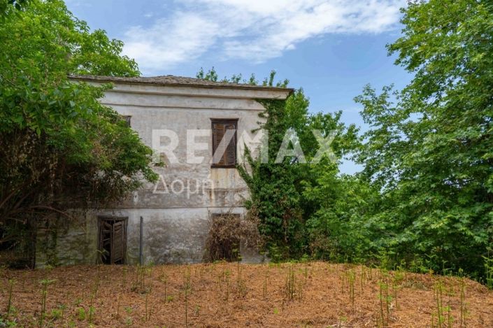 Image No.5-Propriété à vendre à Magnésie