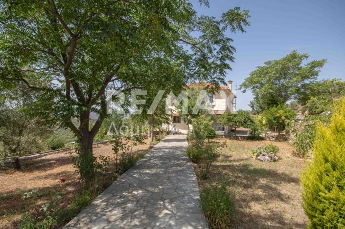 Image No.5-3 Bed House for sale