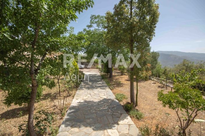 Image No.56-3 Bed House for sale