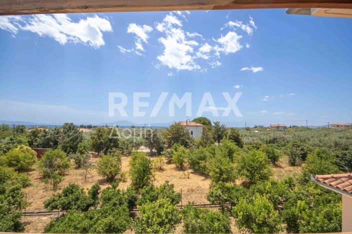 Image No.43-6 Bed House for sale