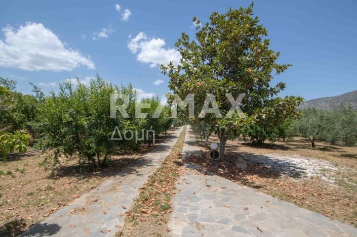 Image No.7-6 Bed House for sale