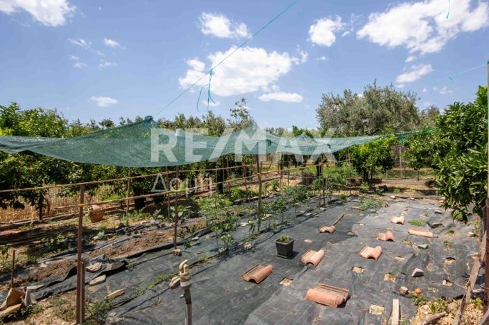 Image No.9-6 Bed House for sale