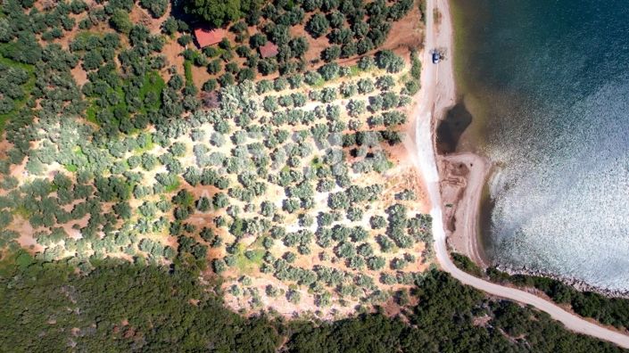 Image No.7-Propriété à vendre à Magnésie