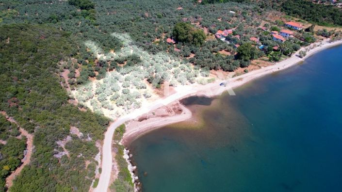 Image No.8-Propriété à vendre à Magnésie