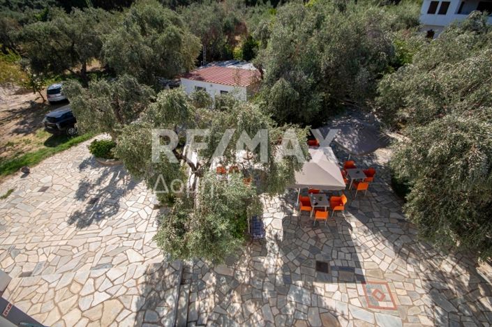 Image No.29-Propriété de 3 chambres à vendre à Magnésie