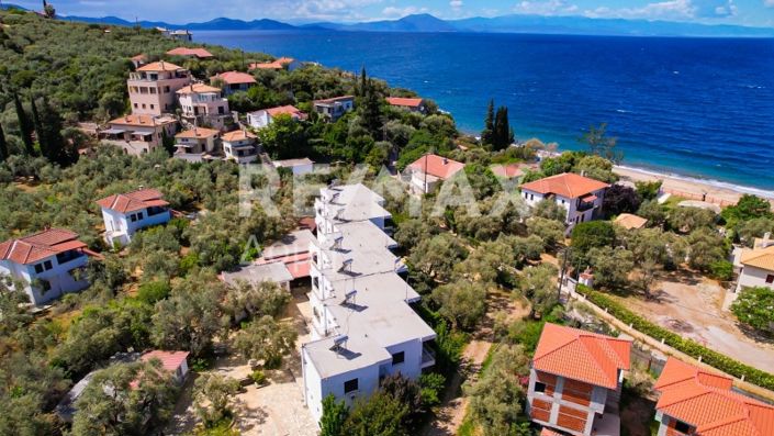 Image No.3-Propriété de 3 chambres à vendre à Magnésie