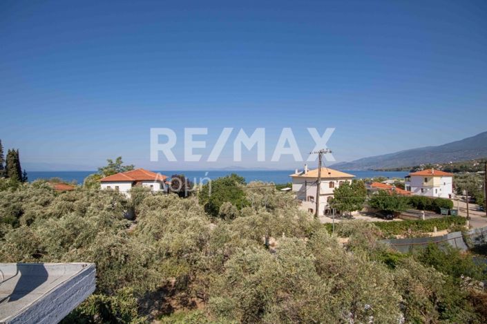 Image No.37-Propriété de 3 chambres à vendre à Magnésie