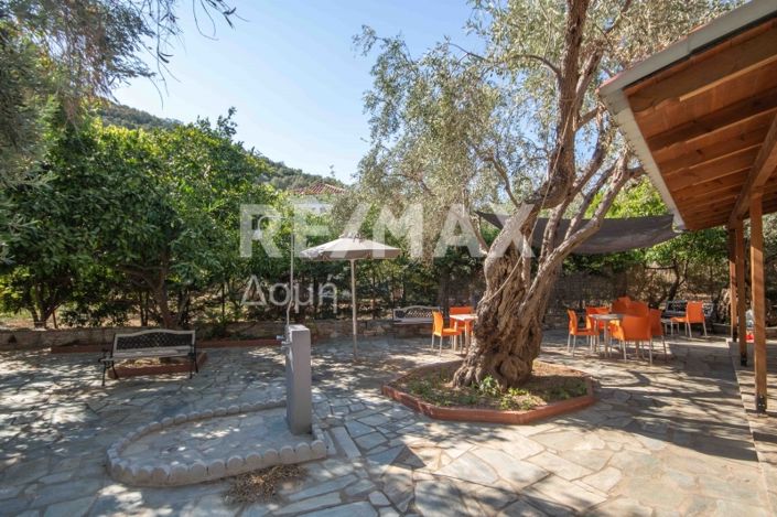 Image No.39-Propriété de 3 chambres à vendre à Magnésie