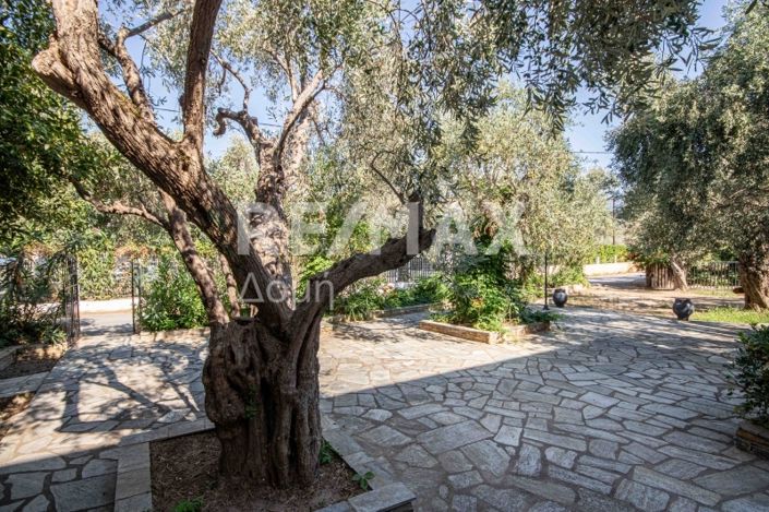 Image No.42-Propriété de 3 chambres à vendre à Magnésie