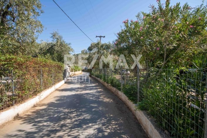 Image No.45-Propriété de 3 chambres à vendre à Magnésie