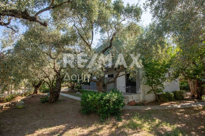 Image No.47-Propriété de 3 chambres à vendre à Magnésie