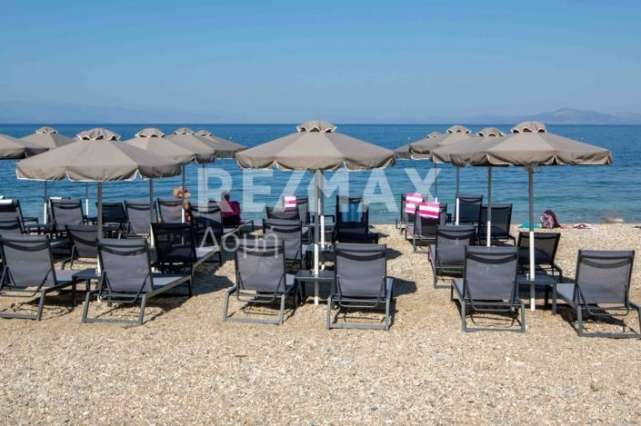 Image No.64-Propriété de 3 chambres à vendre à Magnésie