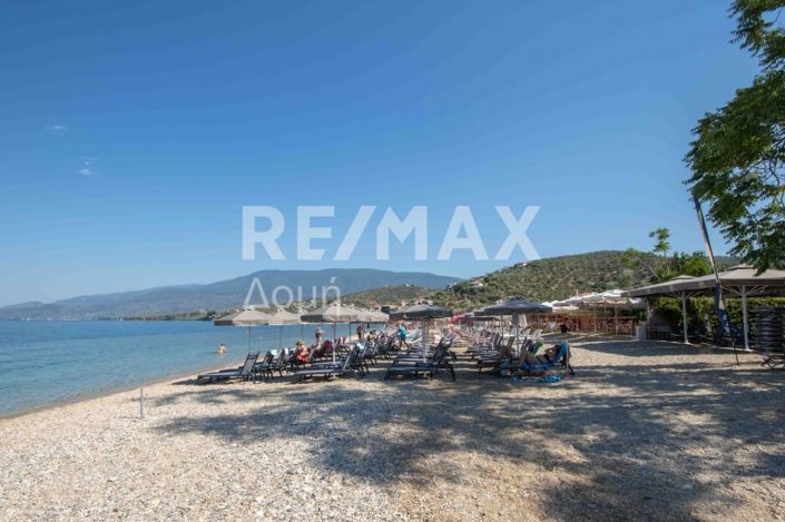 Image No.65-Propriété de 3 chambres à vendre à Magnésie