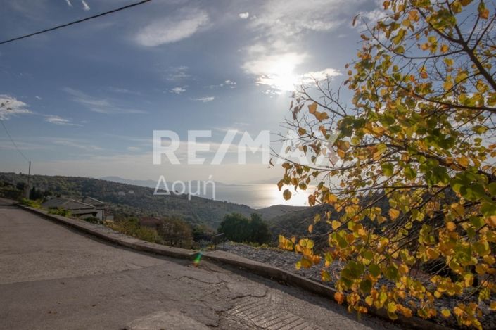 Image No.10-Maison de 3 chambres à vendre à Center