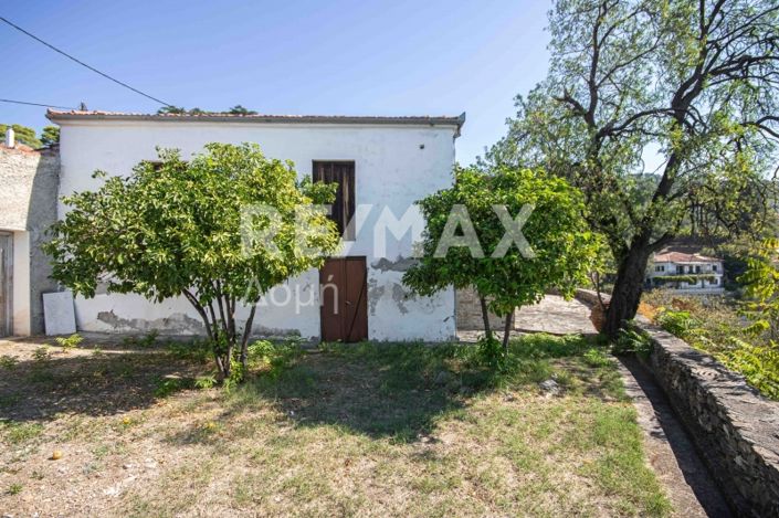Image No.28-Maison de 2 chambres à vendre à Magnésie