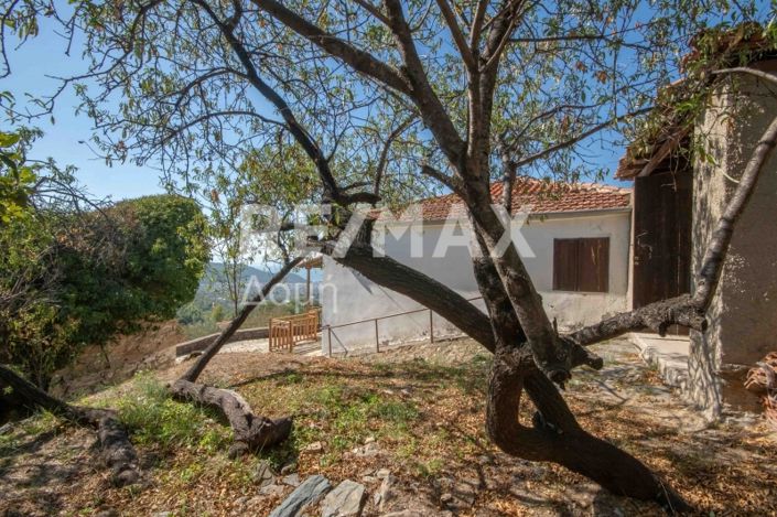 Image No.48-Maison de 2 chambres à vendre à Magnésie