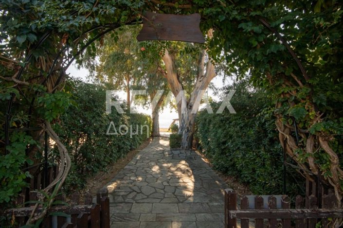 Image No.34-Propriété de 3 chambres à vendre à Magnésie