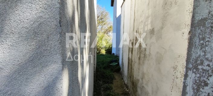 Image No.21-Propriété de 1 chambre à vendre à Center