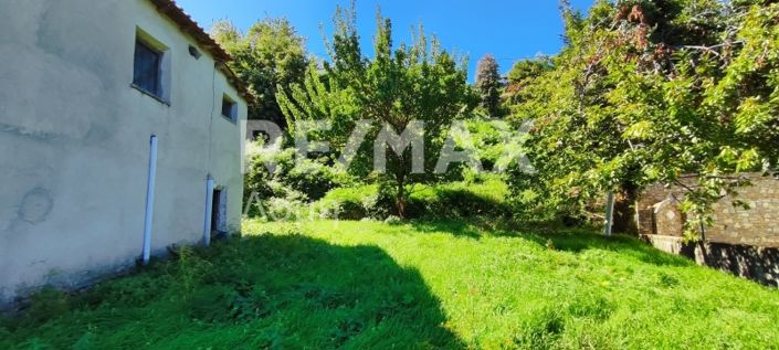 Image No.22-Propriété de 1 chambre à vendre à Center