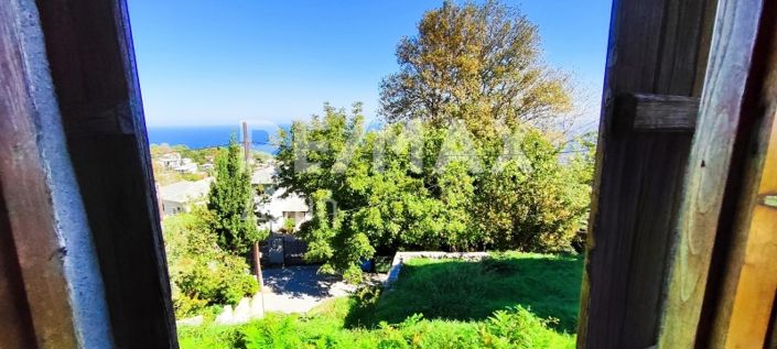 Image No.7-Propriété de 1 chambre à vendre à Center