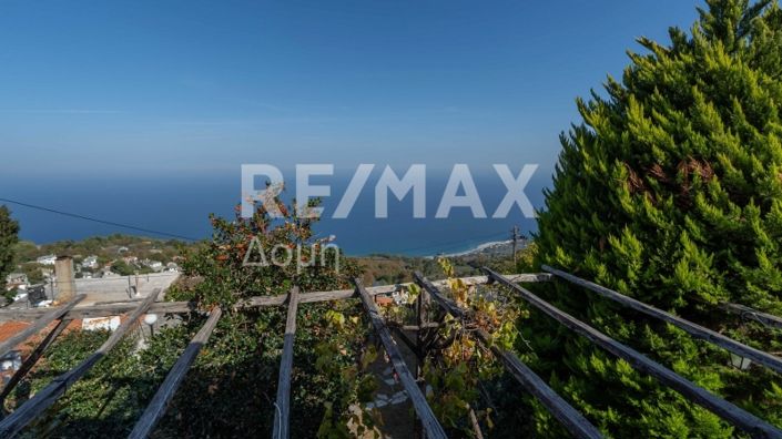 Image No.30-Propriété de 3 chambres à vendre à Center