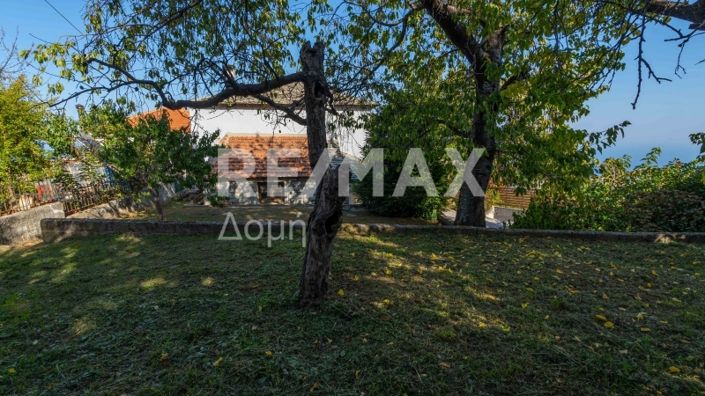 Image No.40-Propriété de 3 chambres à vendre à Center