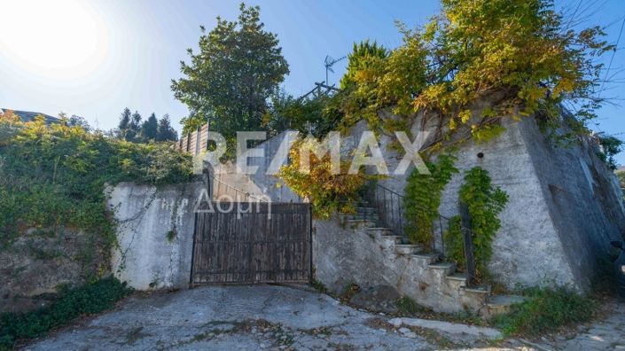 Image No.51-Propriété de 3 chambres à vendre à Center