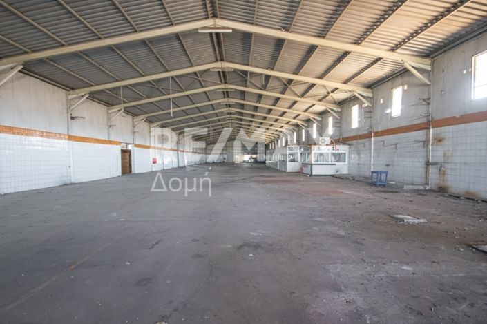 Image No.14-10 Bed Property for sale