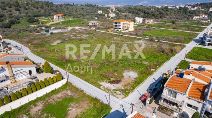 Image No.14-Terre à vendre à Magnésie