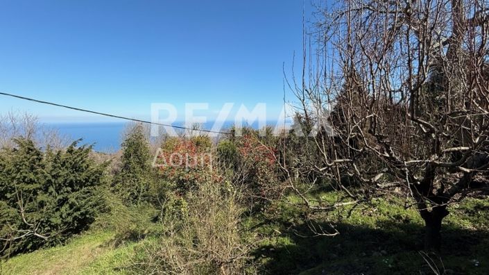 Image No.37-Propriété de 3 chambres à vendre à Magnésie