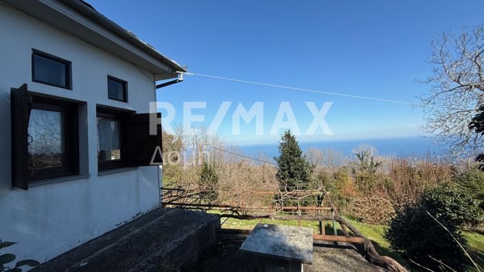 Image No.4-Propriété de 3 chambres à vendre à Magnésie