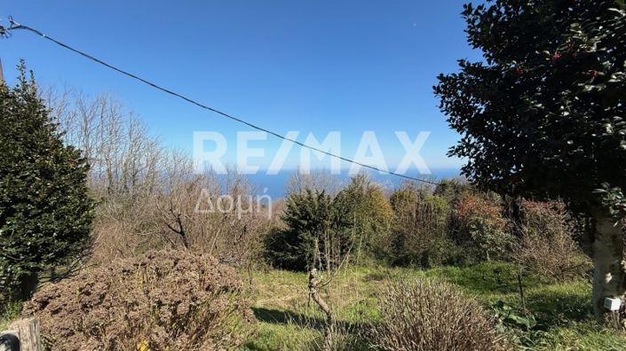 Image No.43-Propriété de 3 chambres à vendre à Magnésie