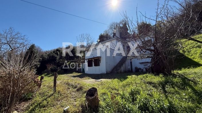 Image No.5-Propriété de 3 chambres à vendre à Magnésie