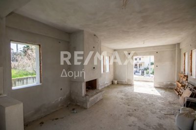 25328-115288659