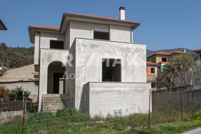 25328-115284309