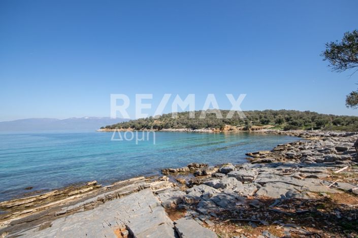 Image No.21-Maison de 3 chambres à vendre à Magnésie